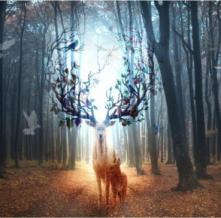 Обои deco-105 Природа фотообои (Walldeco)