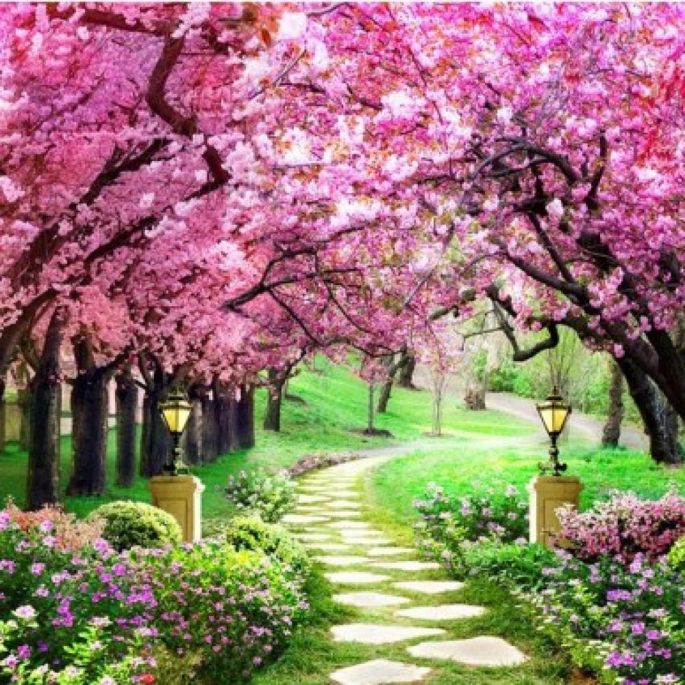 Обои deco-106 Природа фотообои (Walldeco): фото, зображення, колір, малюнок
