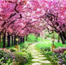 Обои deco-106 Природа фотообои (Walldeco)
