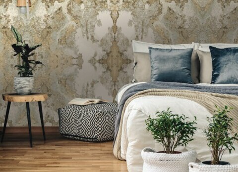 Картинка обоев Candice Olson Botanical Dreams YORK