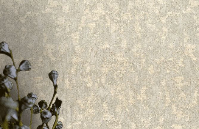 Bellamore Wiganford обои для стен: картинка