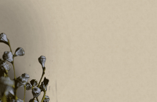 Обои Shades Marburg картинка