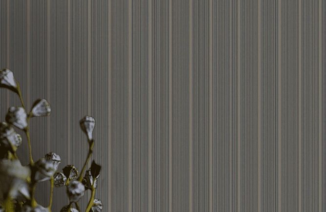 Внешний вид Alfa AdaWall обои для стен: изображение