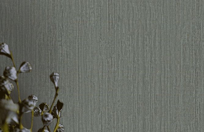 Внешний вид Alfa AdaWall обои на стену: фотография