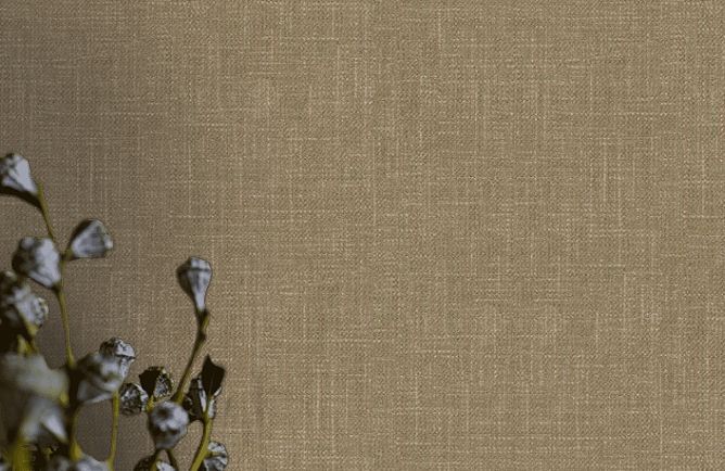 Alfa AdaWall обои: изображение