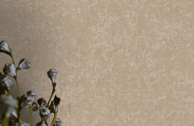 Alfa AdaWall обои: фото