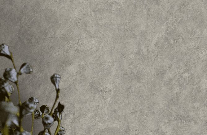 Внешний вид Alfa AdaWall обои: картинка