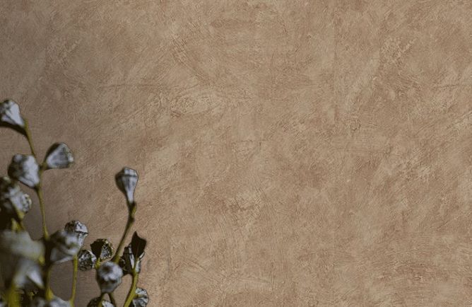 Обои Alfa AdaWall картинка
