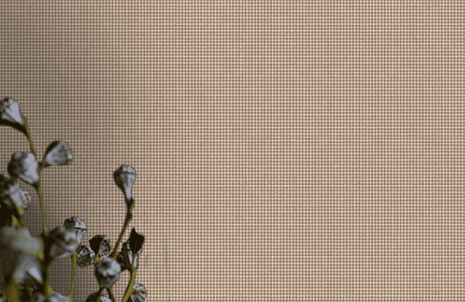 Обои на стены Alfa AdaWall фото