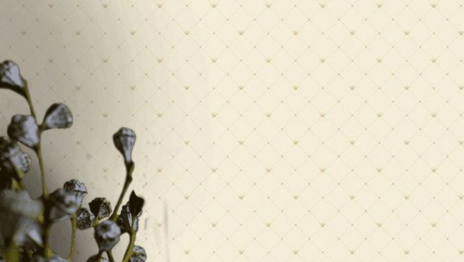 AdaKids AdaWall обои на стену: фотография