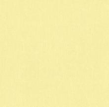 Обои 3462-85 Pop Colors (AS Creation)