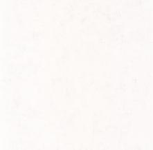 Обои BTO101480000 Beton 2 (Caselio)