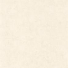 Обои BTO101480010 Beton 2 (Caselio)