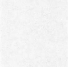 Обои BTO101489000 Beton 2 (Caselio)