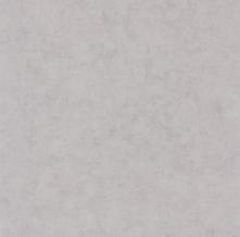 Обои BTO101489460 Beton 2 (Caselio)