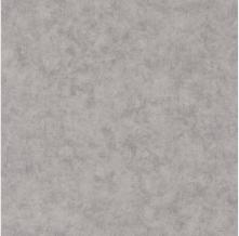 Обои BTO101489550 Beton 2 (Caselio)