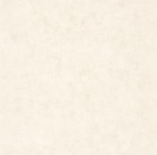 Обои BTO101491019 Beton 2 (Caselio)