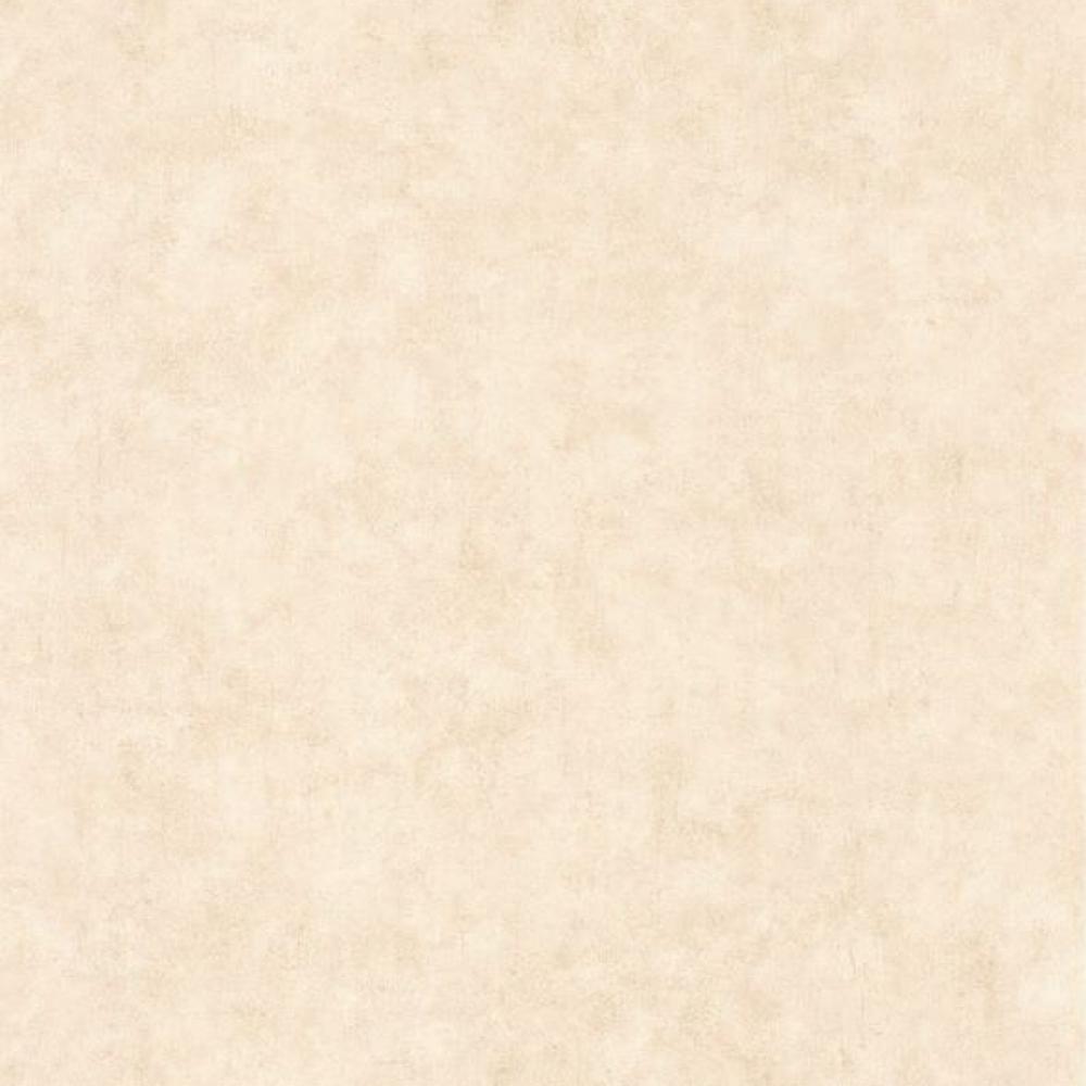 Обои BTO101481123 BETON 2 (Caselio): фото, зображення, колір, малюнок