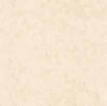 Обои BTO101481123 Beton 2 (Caselio)