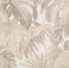Обои 12265-02 Forest Dreams (Erismann)