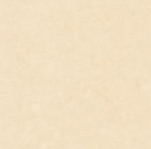 Обои BTO101481247 Beton 2 (Caselio)
