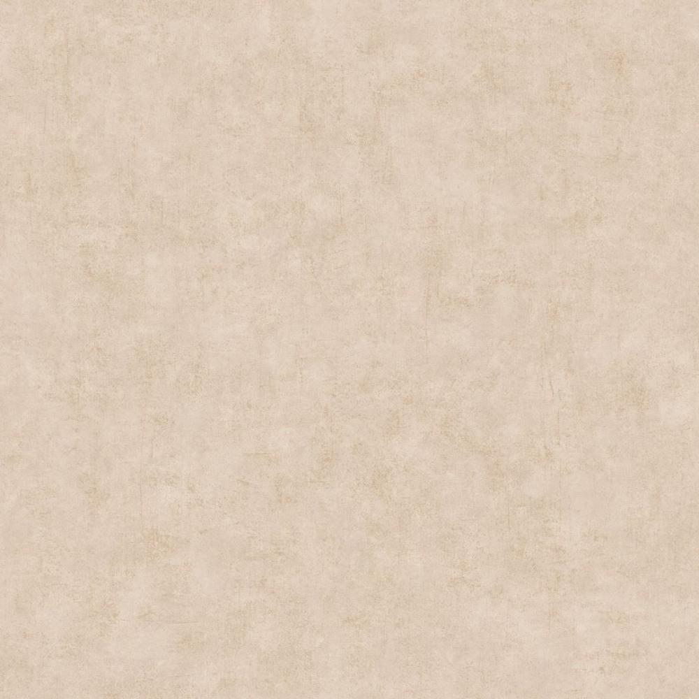 Обои BTO101481439 BETON 2 (Caselio): фото, зображення, колір, малюнок