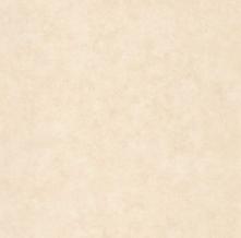 Обои BTO101491460 Beton 2 (Caselio)