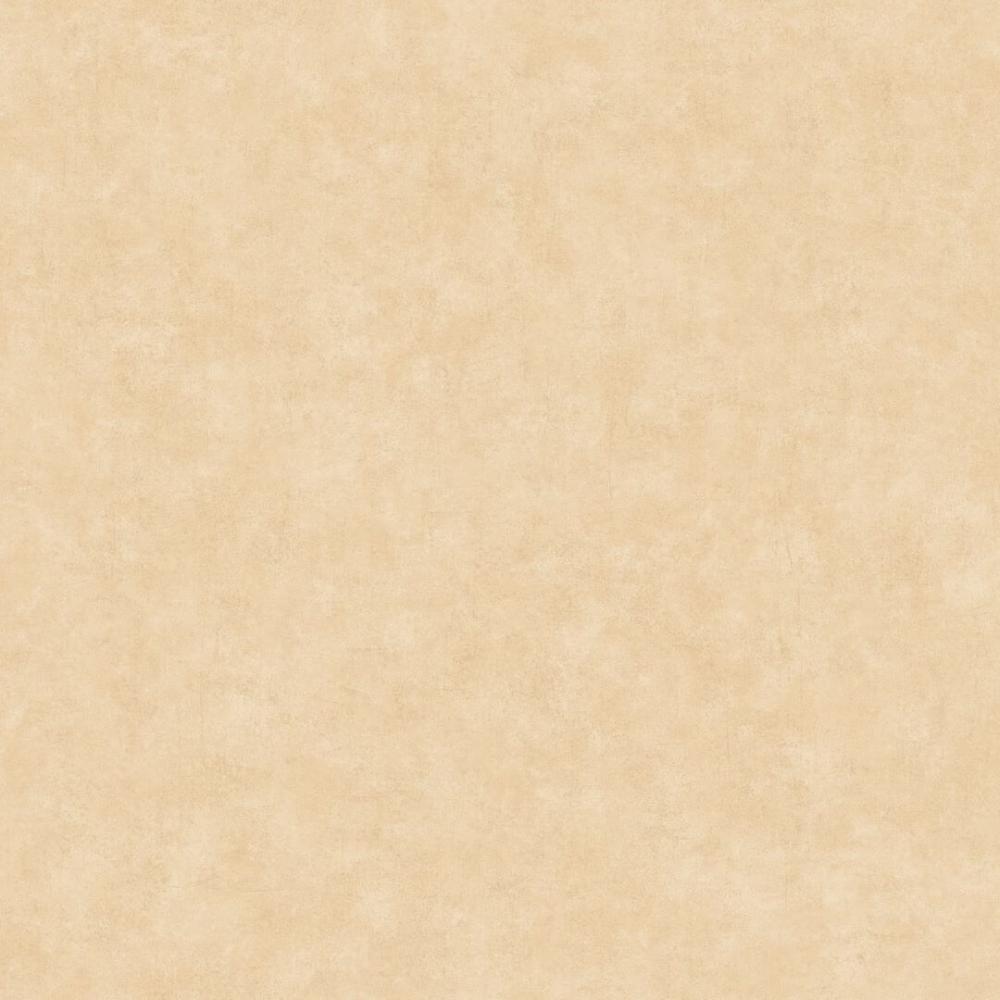 Обои BTO101481674 BETON 2 (Caselio): фото, зображення, колір, малюнок