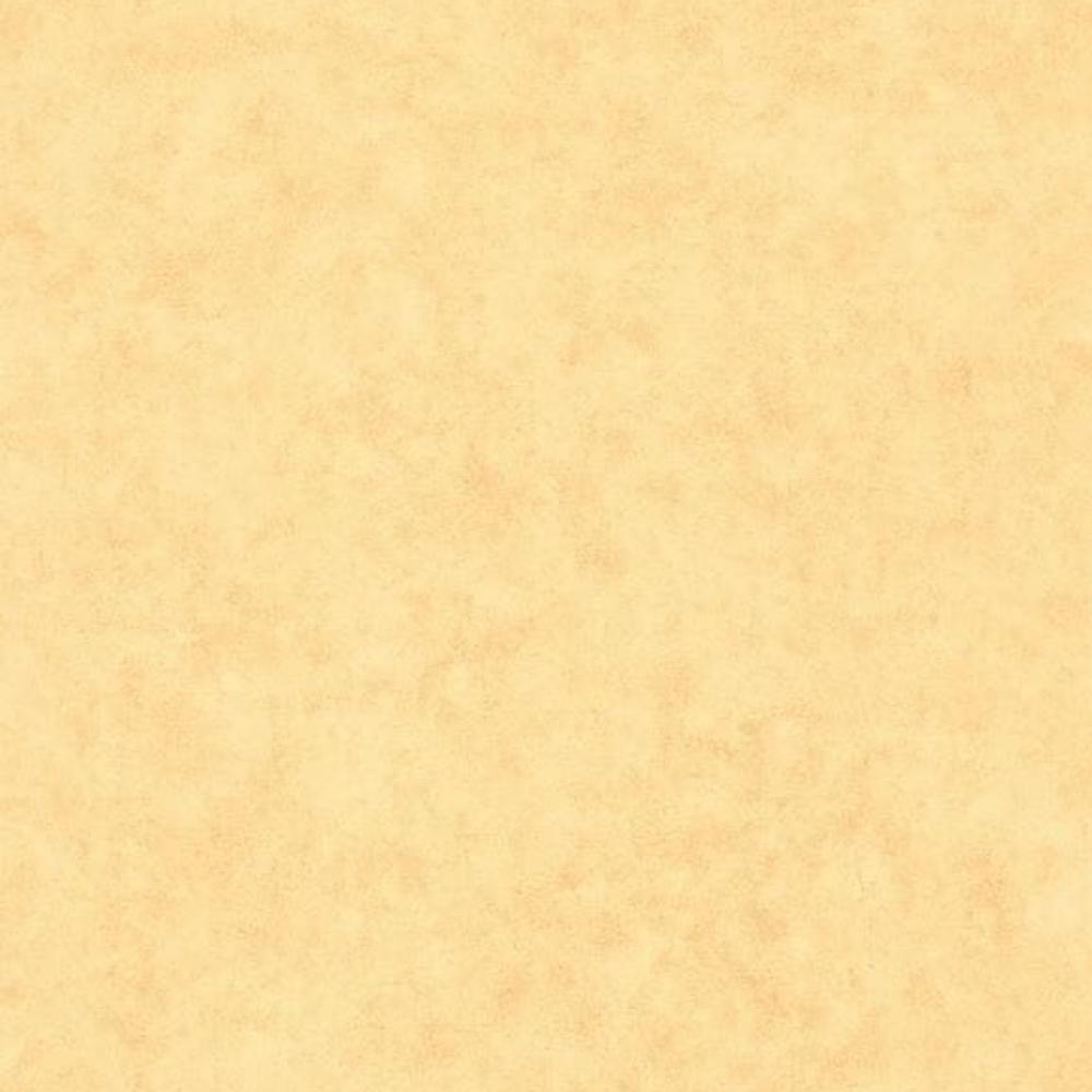 Обои BTO101482200 BETON 2 (Caselio): фото, зображення, колір, малюнок
