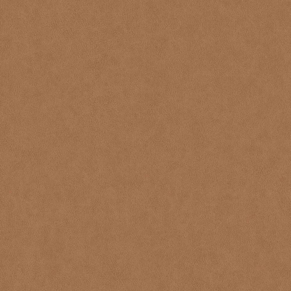 220505 Grand Safari  BN International