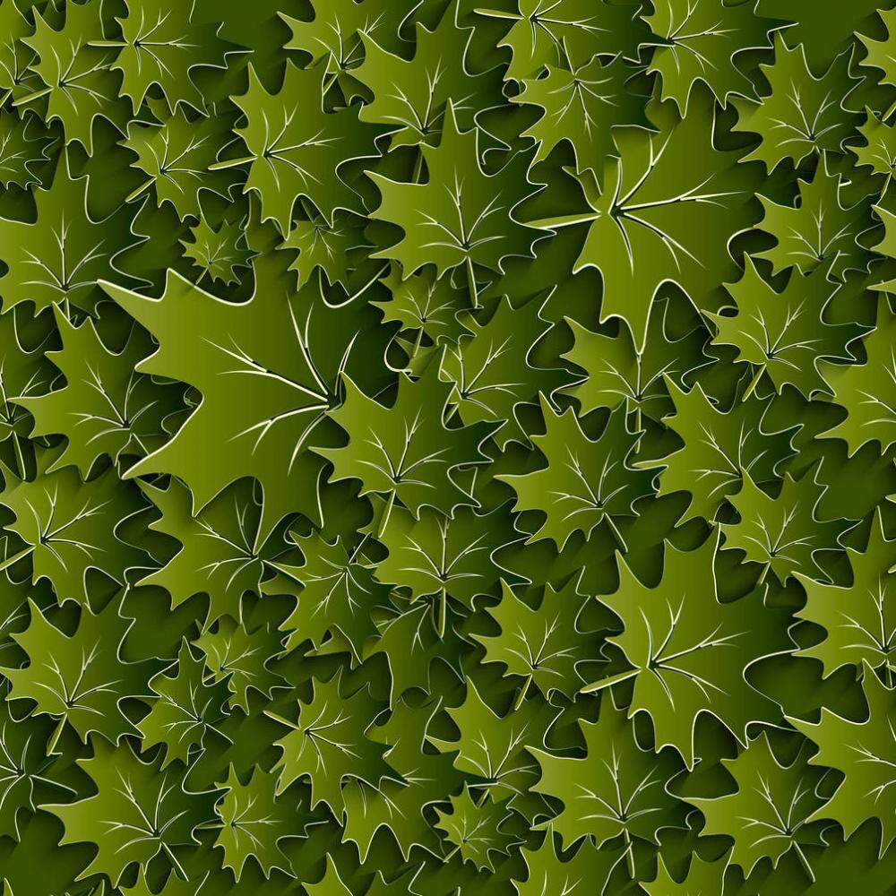 Обои 22625 3D фотообои (Walldeco): фото, зображення, колір, малюнок