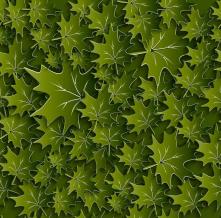 Обои 22625 3D фотообои (Walldeco)