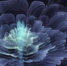 Обои 23398 3D фотообои (Walldeco)