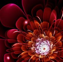 Обои 24164 3D фотообои (Walldeco)