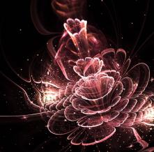 Обои 24166 3D фотообои (Walldeco)