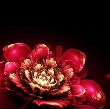 Обои 24168 3D фотообои (Walldeco)