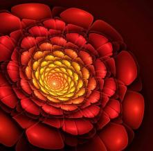 Обои 24169 3D фотообои (Walldeco)