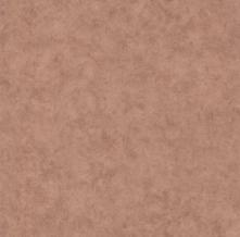 Обои BTO101482666 Beton 2 (Caselio)