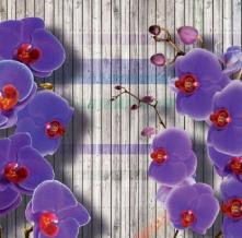 Обои 29361 3D фотообои (Walldeco)