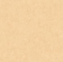 Обои BTO101483100 Beton 2 (Caselio)