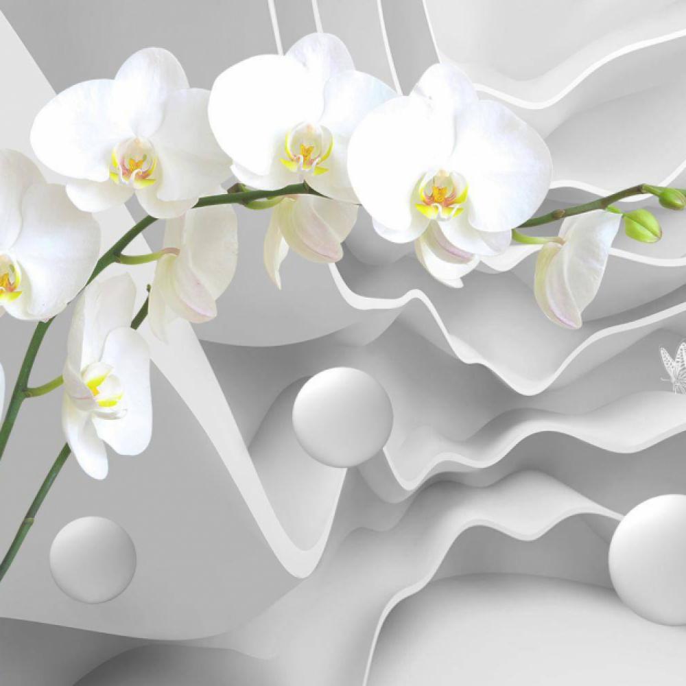 Обои 33867 3D фотообои (Walldeco): фото, зображення, колір, малюнок