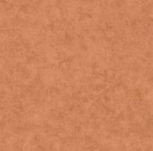 Обои BTO101483434 Beton 2 (Caselio)