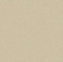 Обои 36890-5 Premium (AS Creation)