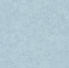 Обои BTO101486156 Beton 2 (Caselio)