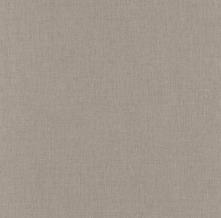 Обои BIS68521992  (Caselio)