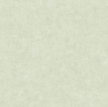 Обои BTO101487042 Beton 2 (Caselio)