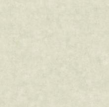Обои BTO101487140 Beton 2 (Caselio)