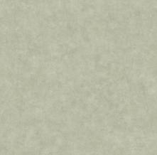 Обои BTO101487270 Beton 2 (Caselio)