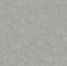 Обои BTO101489243 Beton 2 (Caselio)