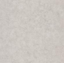 Обои BTO101499267 Beton 2 (Caselio)